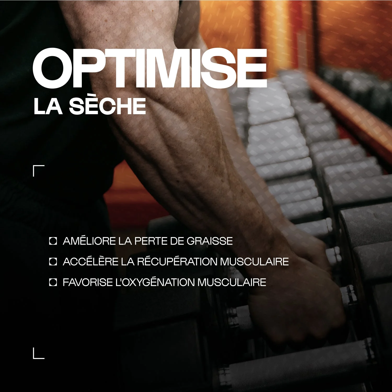 Carnitine Carnipure® en gélules - Image 2