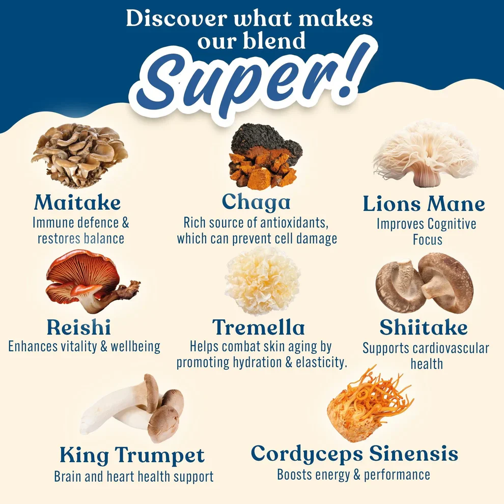 Mushroom Superblend - Image 4